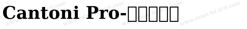 Cantoni Pro字体转换